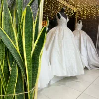 مزون لباس عروس تاج محل