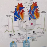 مشاور تحصیلی/کنکور۱۴۰۶/طرح نجات/نهایی