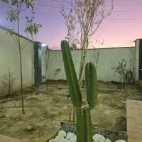 ویلا نوساز زعفرانیه سند اب برق گاز کنتور|فروش خانه و ویلا|رامجین, |دیوار