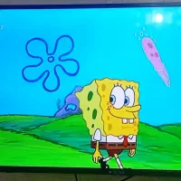 تلویزیون ۴۳اینچ سونیا|تلویزیون و پروژکتور|ملکان, |دیوار