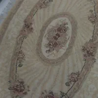 جاندارم ارزون میدم