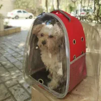 کیف کوله ای حیوانات|لوازم جانبی حیوانات|فردیس, نگارستان|دیوار