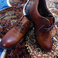 کفش ۴۱|کیف، کفش، کمربند|باغستان, |دیوار