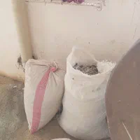 ده تا کیسه کود کفتر تمیز و خشک بدون اشغال