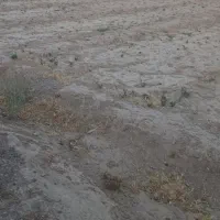 زمین-برج-بر-بلوار-فجر-تجاری-مسکونی