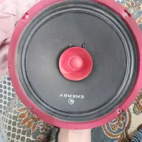 میدرنج ۸ دهنه انرژی با کیفیت