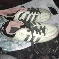 کفش فوتبال|ورزش‌های توپی|سنندج, |دیوار