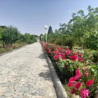 نیرو خانوم جهت همکاری در کافه رستوران