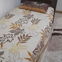 تخت یک نفره|تخت و سرویس خواب|بروجرد, |دیوار