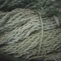 طناب یا (مَچ بند)