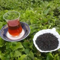 چای درجه یک