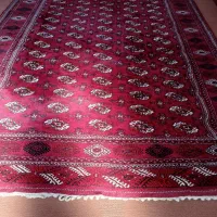 قالی|فرش|گنبد کاووس, |دیوار