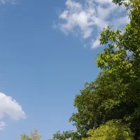 سرایدار بیرون کار میشم