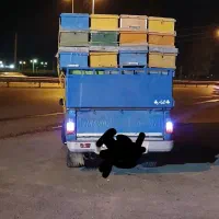 بار بری نیسان|خدمات حمل و نقل|علی‌آباد کتول, |دیوار