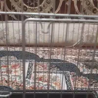قفس|لوازم جانبی حیوانات|تهران, میدان ولیعصر|دیوار