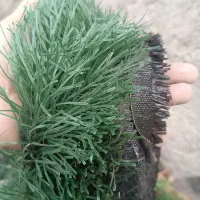 چمن مصنوعی|مصالح و تجهیزات ساختمان|مود, |دیوار