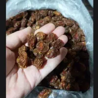 فروش آلو ریز