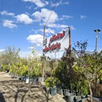 نهالستان