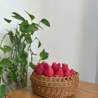 انواع شمع های دستساز دکوری پاییزی و هدیه|صنایع دستی و سایر لوازم تزئینی|مرودشت, مسجد رسول|دیوار