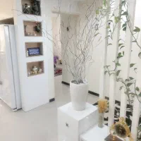 2خواب-خوش-نقشه-کلید-اول-کیانپارس-غربی