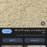 برنج فجر سوزنی 90روزه