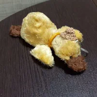 عروسک پولیشی|اسباببازی|رشت, پل تالشان|دیوار