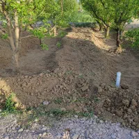 باغ 700متر حاجی اباد