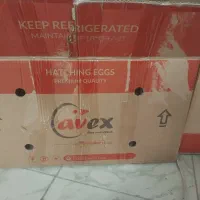 کارتن اساس کشی ۵ لایه محکم دونه ای ۴۵ ت|حراج|تهران, دولاب|دیوار