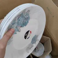 ظروف پذیرایی آرکوپال ۱۸ نفره فرانسه