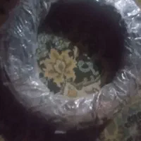 سیم آلماتور ۱/۵