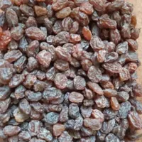 کشمش مویز|عمده‌فروشی|مرودشت, ژیان|دیوار