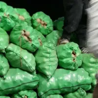 حمل مصالح ومحصولات کشاورزی