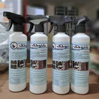 رخت آویز|بندرخت و رخت‌آویز|شیراز, کوشک میدان|دیوار