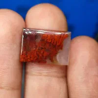 نگین شجر و سلیمانی|جواهرات|فردوس (خراسان), |دیوار