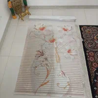 پرده زیرا در حد نو بعلت جابجایی