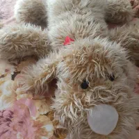 عروسک بزرگ|اسباب‌بازی بچه|ساوه, |دیوار