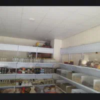 فروش دو دهنه مغازه در خیابان سلمان فارسی برازجان|فروش مغازه و غرفه|برازجان, |دیوار