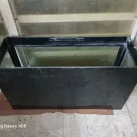 آکواریوم شیشه 10 میل