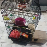 ۳ قفس پرنده تمیز و نو|لوازم جانبی حیوانات|کرمان, |دیوار