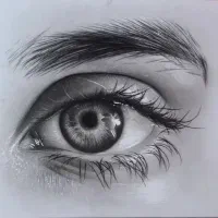 نقاشی از مبتدی تا حرفه ای