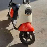 موتور برقی استر