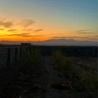 تهران تهران