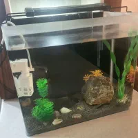 اکواریوم شیشه خم شرکتی