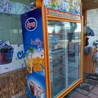 یخچال ایستاده ویترینی|فروشگاه و مغازه|ورامین, ورامین|دیوار