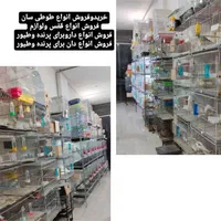 خریدوفروش انواع پرنده وکبوتروقفس ولوازم ودان ودارو