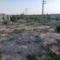 زمین حصارشده|فروش زمین و ملک کلنگی|صوفیان, |دیوار