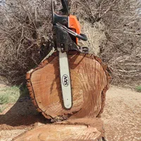 قطع درخت ،هرس،خرید انواع چوب و درخت