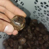 گارنت
