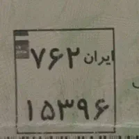 پلاک گم شده