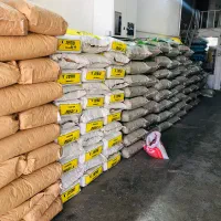 نخود فرنگی اسگارو شرکتی|عمده‌فروشی|گرگان, |دیوار